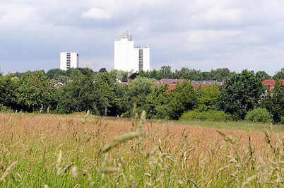 4484 Weite Wiese in Hamburg Langenbek - hohes Gras und Bume - Grnanlage im Stadtteil; im Hintergrund Hochhuser von Hamburg Sinstorf.